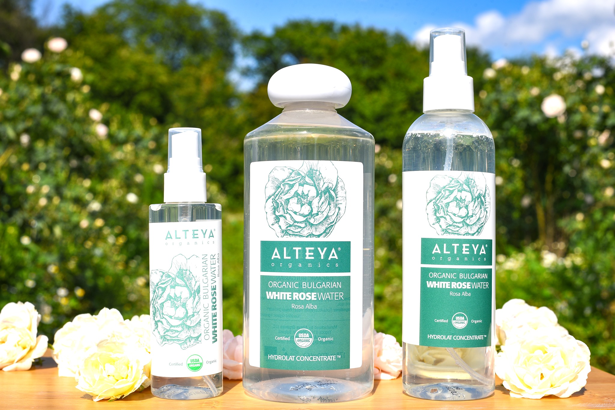 Nước Hoa Hồng Trắng Bulgaria Hữu Cơ (Rosa Alba) Organic Bulgarian White Rose Water  Alteya Organics WRW1S (250ml)