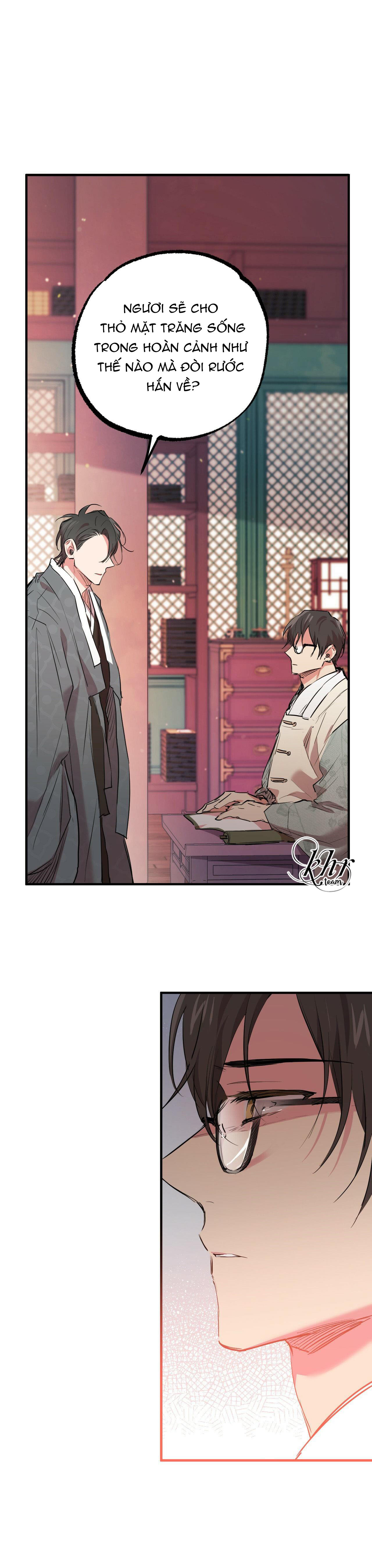 những chú thỏ của hapypy chapter 21 35