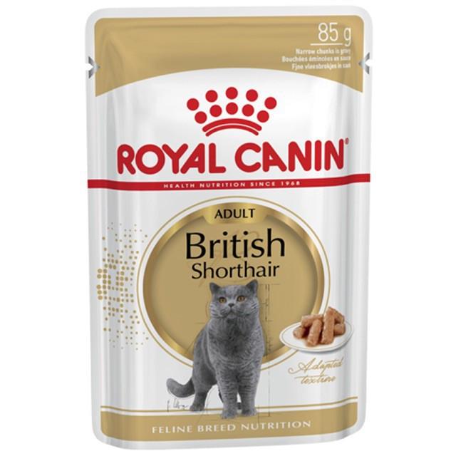 Pate súp dành riêng cho mèo anh lông ngắn royal canin