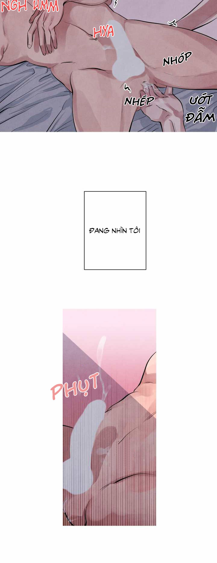 tiếng san hô nở chapter 11 15