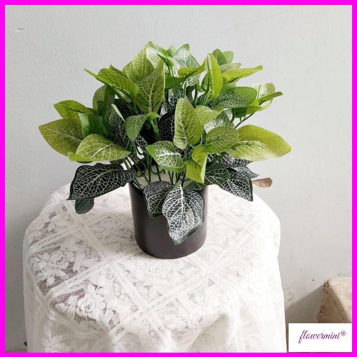 Chậu cây cảnh giả để bàn trang trí nhiều mẫu, cây vạn niên thanh decor nhà hàng xanh mát Flowermini CC-05