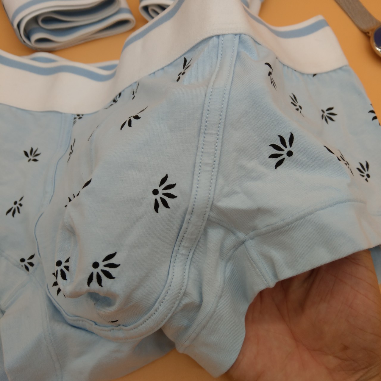Quần lót Nam Cotton thời trang - L ( 59 - 65kg)