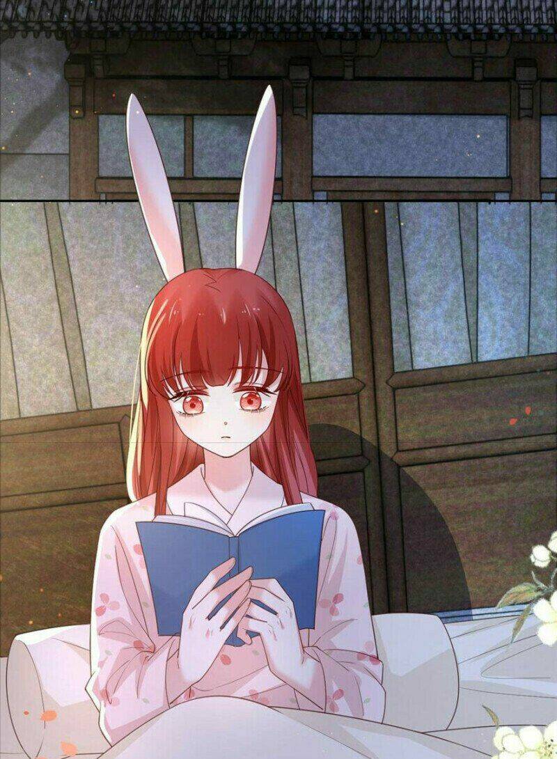 hắc hóa nam chính trực tuyến nuôi thỏ chapter 66 21