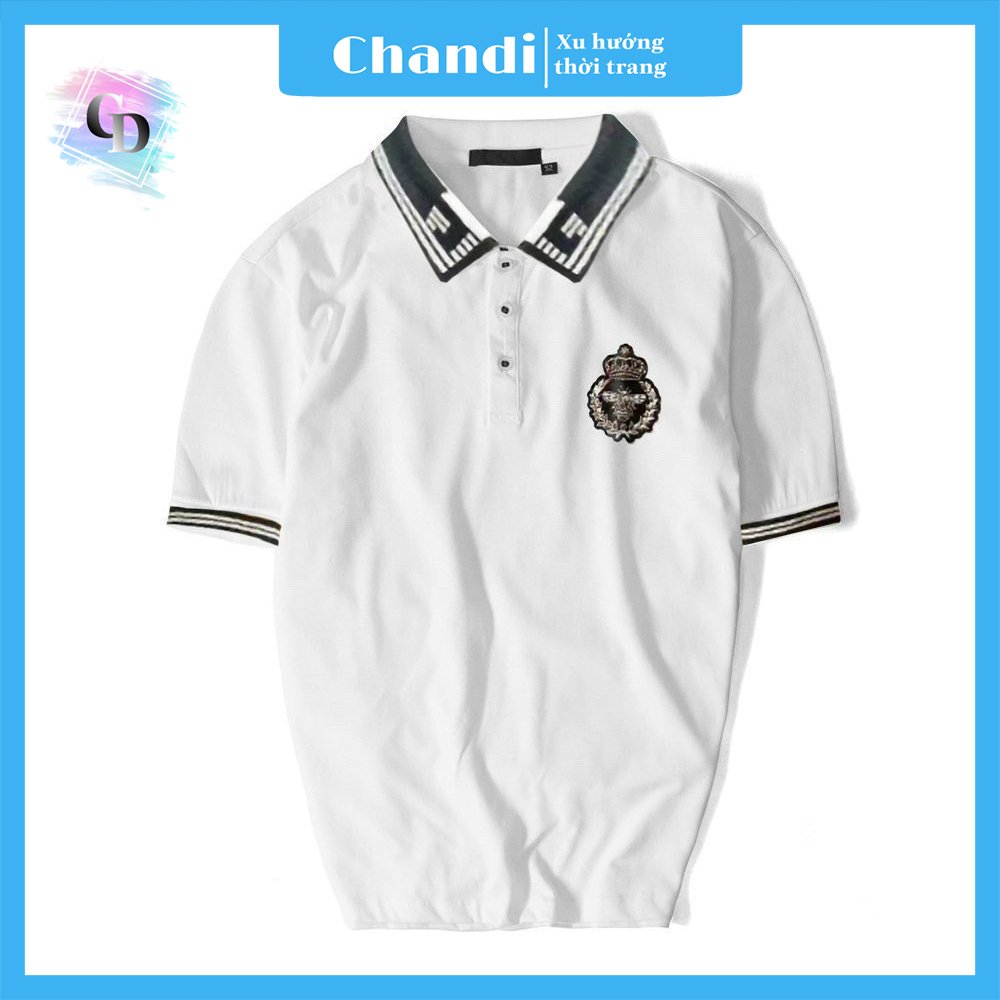 Áo Thun Nam Ngắn Tay Thương Hiệu Chandi, Chất Thun Cotton Xịn Mẫu Mới NH24