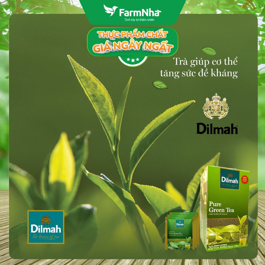 Trà Dilmah All Natural Green Tea Pure Green túi lọc 30g 20 túi x 1,5gr - Đóng gói riêng từng túi giữ hương vị tuyệt vời