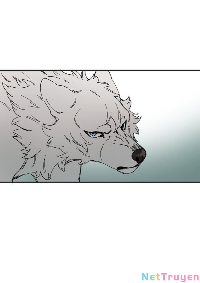 lumine - cội nguồn ánh sáng chapter 90 4