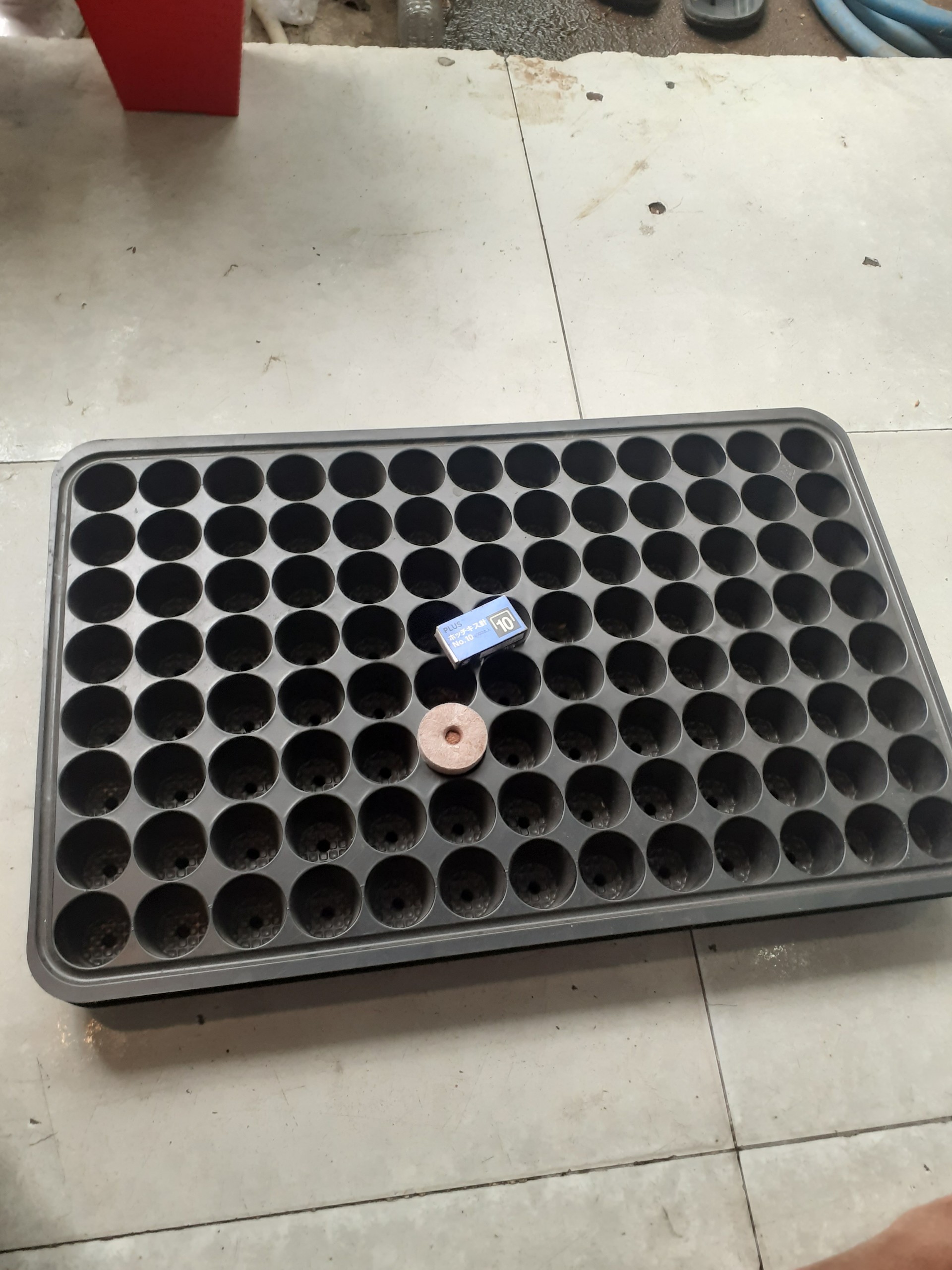 *** Combo 2 khay ươm hạt giống *** 104 lỗ màu đen *** dày, dẻo, dai ***