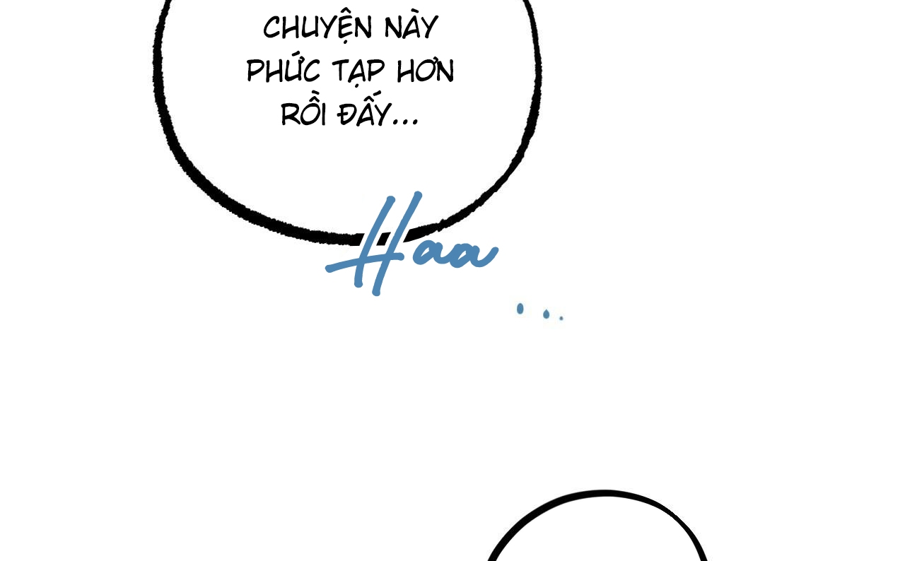 những chú thỏ của hapypy chapter 52 185