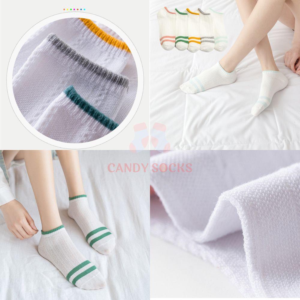 Tất nữ vớ nữ cổ thấp, Set 5 đôi tất nữ phong cách Hàn Quốc, co dãn 4 chiều, chất liệu cotton Hàn cao cấp TN-190