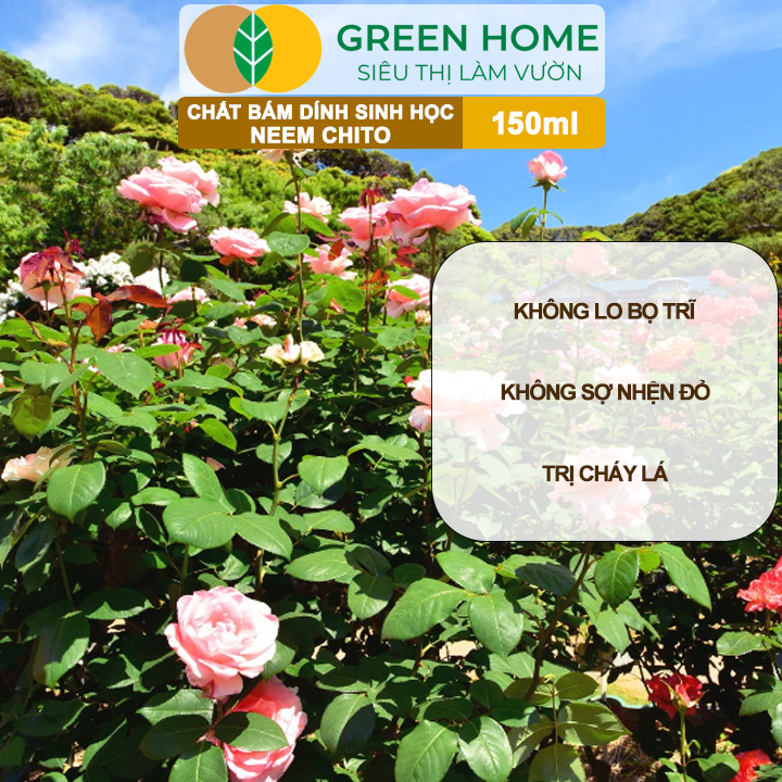 Chất Bám Dính Sinh Học Neem Chito GreenHome, 150ml,Kháng Khuẩn Hạn Chế Bệnh Cháy Lá, Trị Bọ Trĩ, Rầy