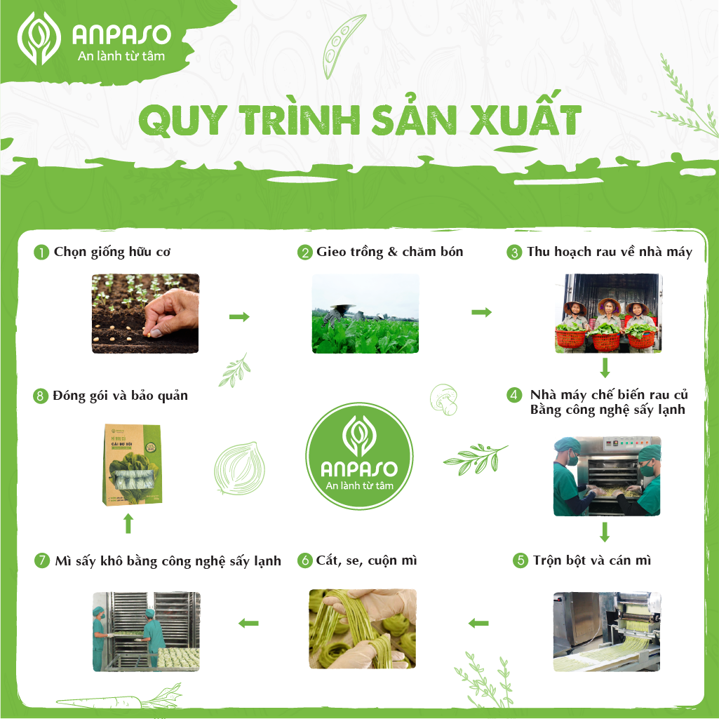 Mì Rau Củ Ăn Dặm Vị Mầm Lúa Mạch Organic Anpaso 300g