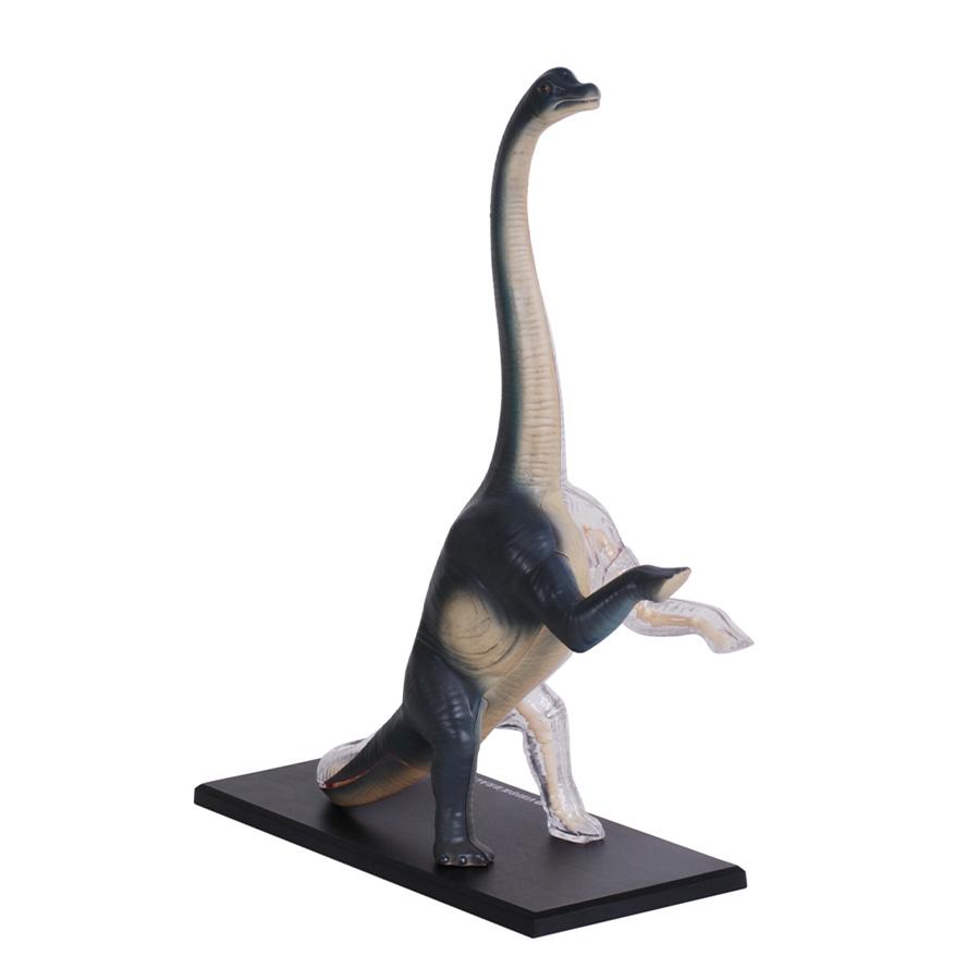 Đồ Chơi Mô Hình Giải Phẫu 4D - Khủng Long Brachiosaurus 4D Master 622015