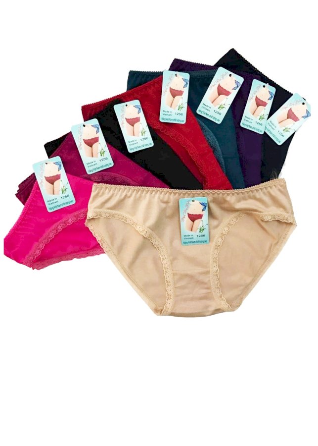 Combo 10 quần lót cotton viền ren hàng VNXK