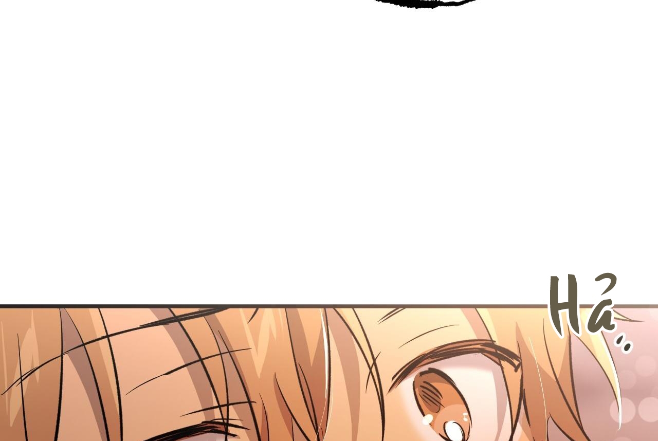 những chú thỏ của hapypy chapter 57 44