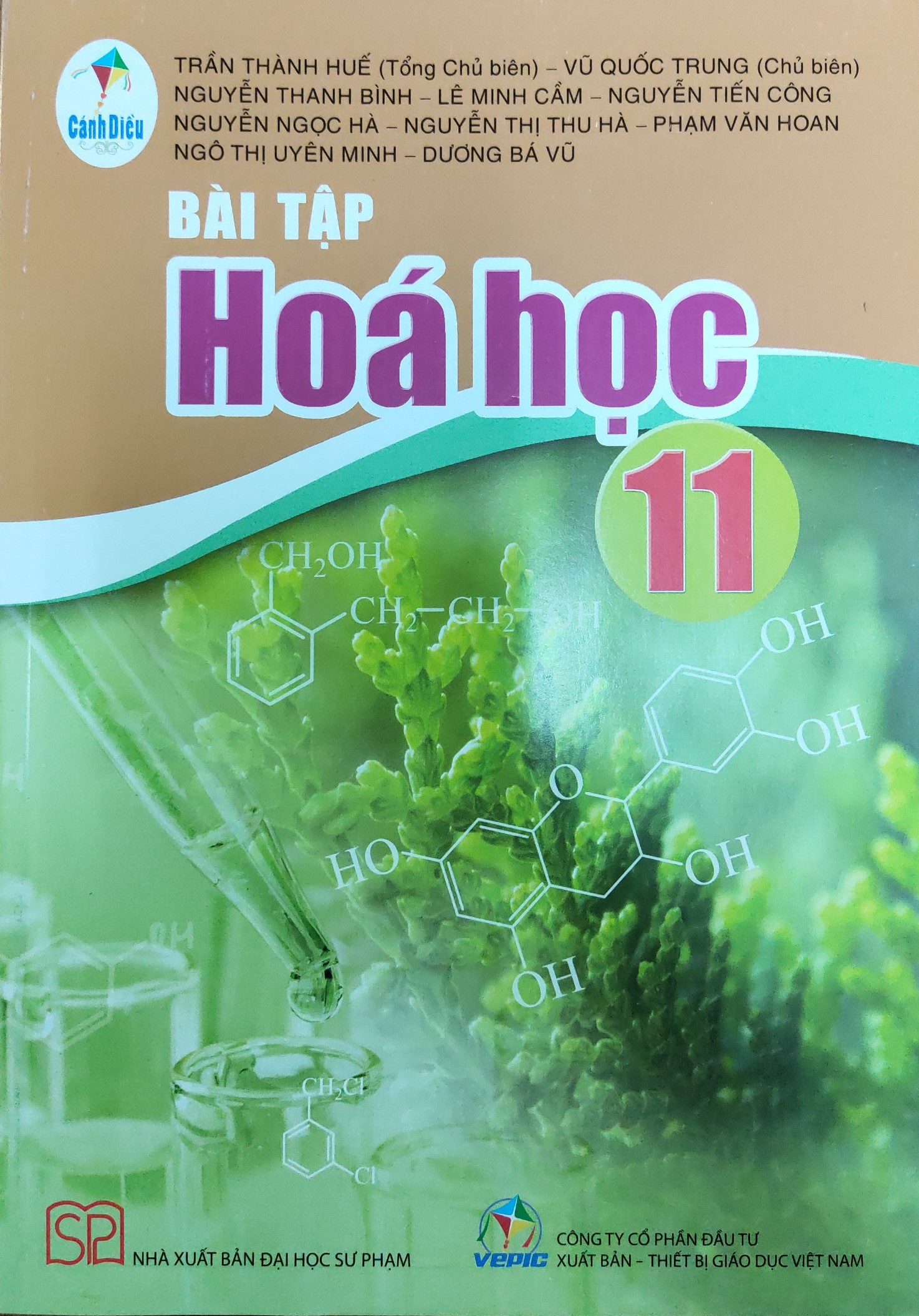 Bài tập Hóa học lớp 11 (Bộ sách Cánh Diều)