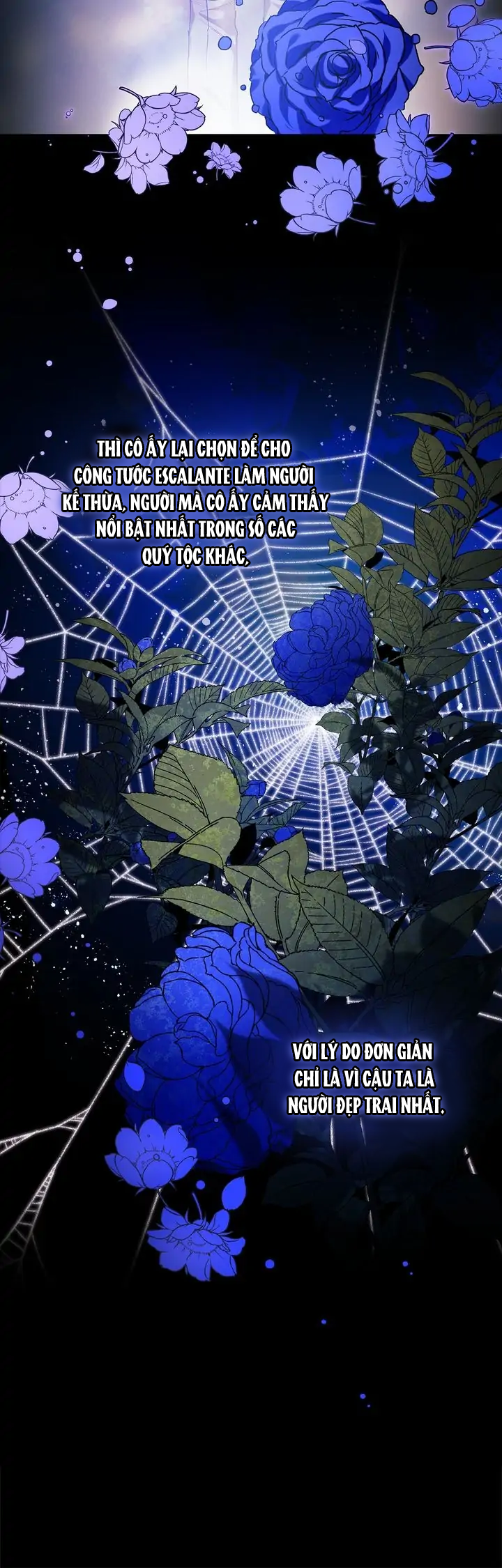 tôi mới là người quyết định cuộc hôn nhân này chapter 0 11