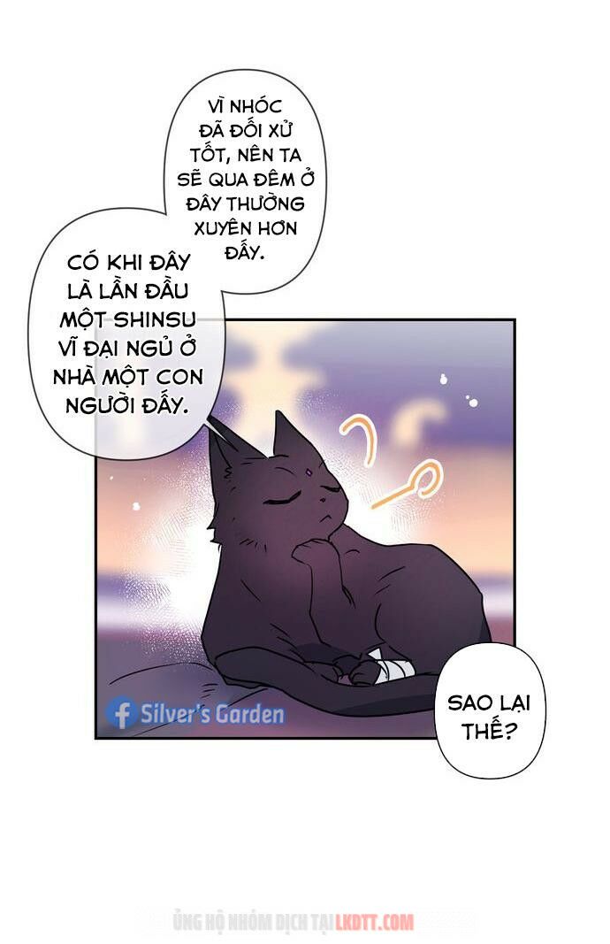 tôi đang nuôi dưỡng một con quái thú chapter 4 38