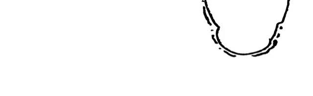 thực nhị chapter 12.2 17