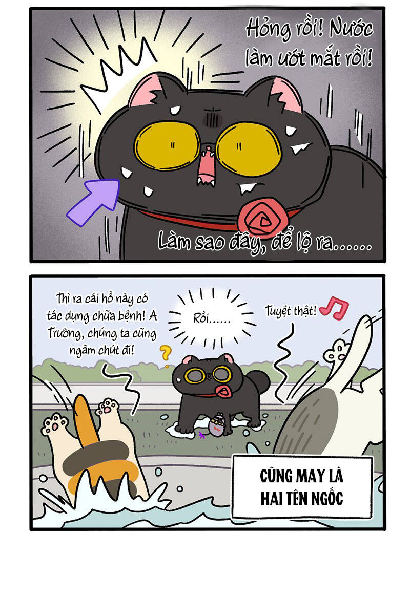 a mãn và mạch trà chapter 41 4