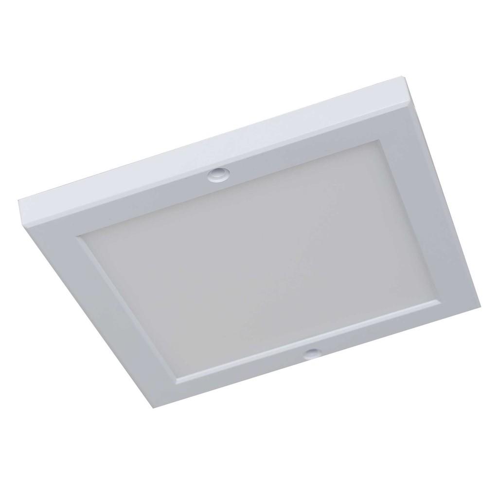 Đèn LED ốp trần mỏng vuông 18W Rạng Đông D LN10L 22x22/18W