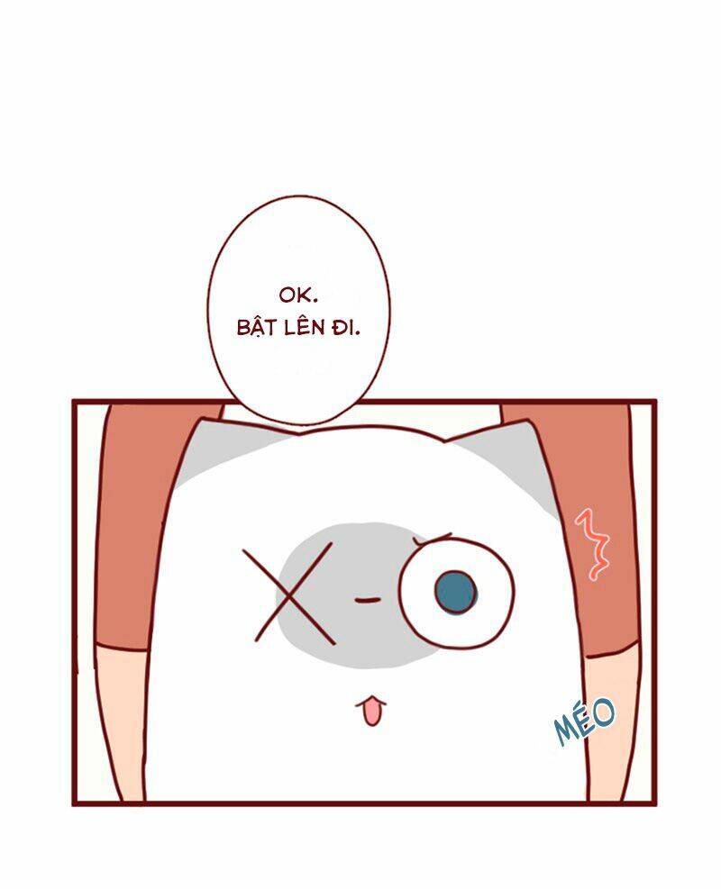 saphie: chú mèo một mắt chapter 12 6