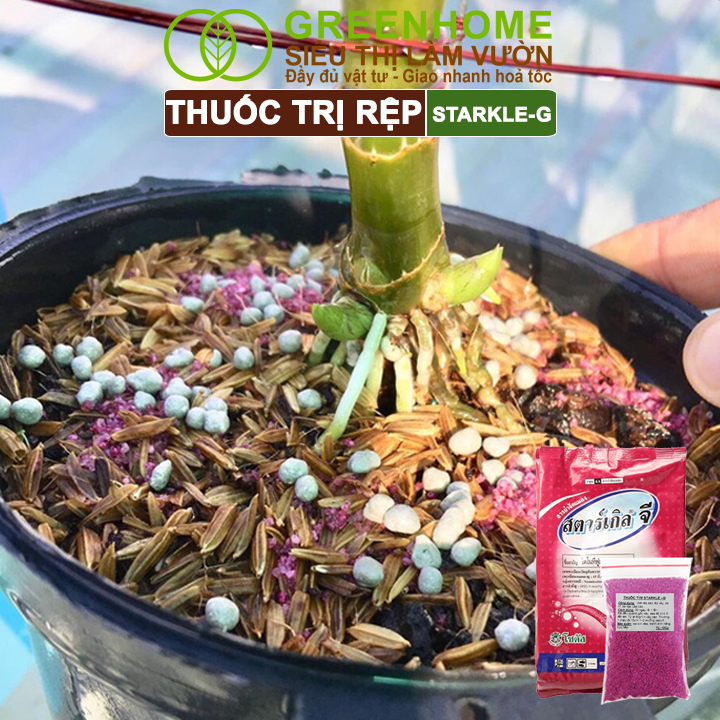 Thuốc Tím Trị Rệp Greenhome, Starkle-G, Bao 50gr, Lưu Dẫn, An Toàn, Hiệu Quả, Dùng Cho Sen Đá, Xương Rồng, Hoa hồng