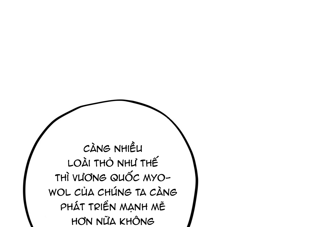 đàn thỏ của habibi chapter 21 98