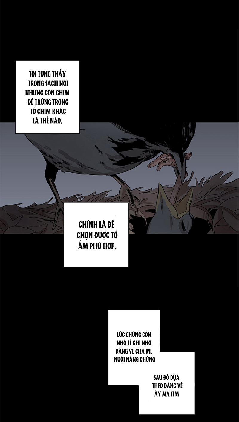 the wing chapter 5 30