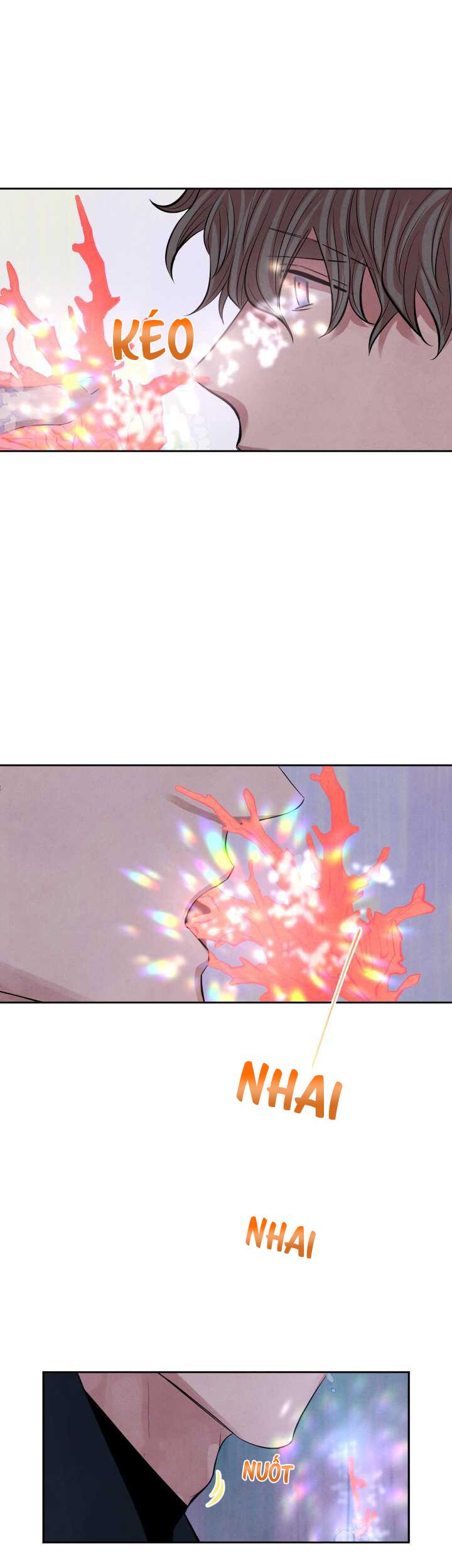 âm thanh của san hô chapter 1 25