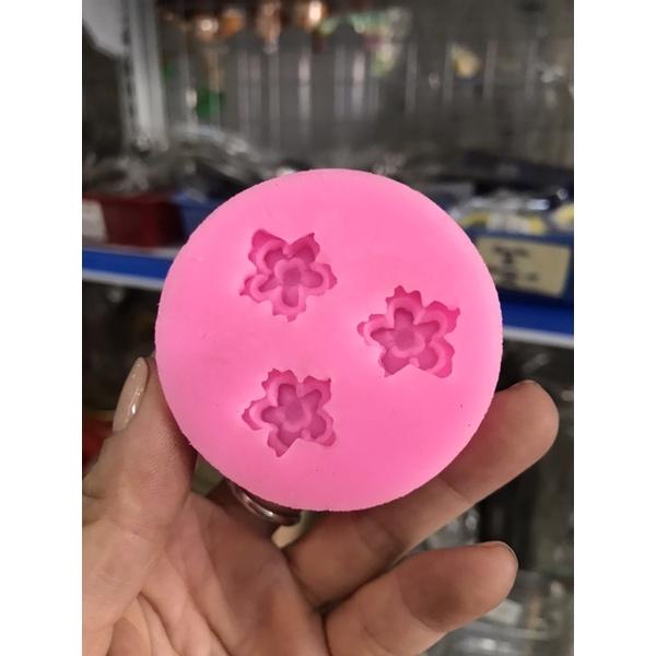 Khuôn silicone 24