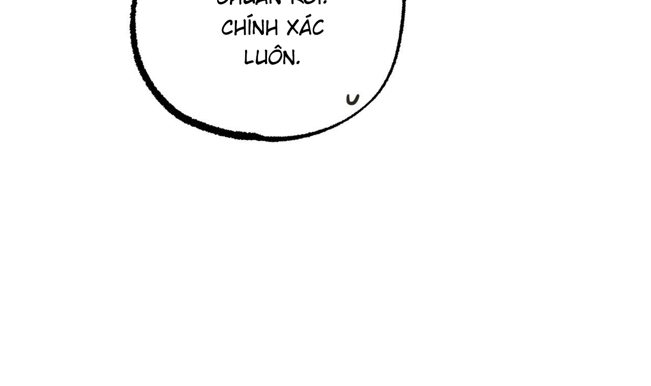 những chú thỏ của hapypy chapter 51 130