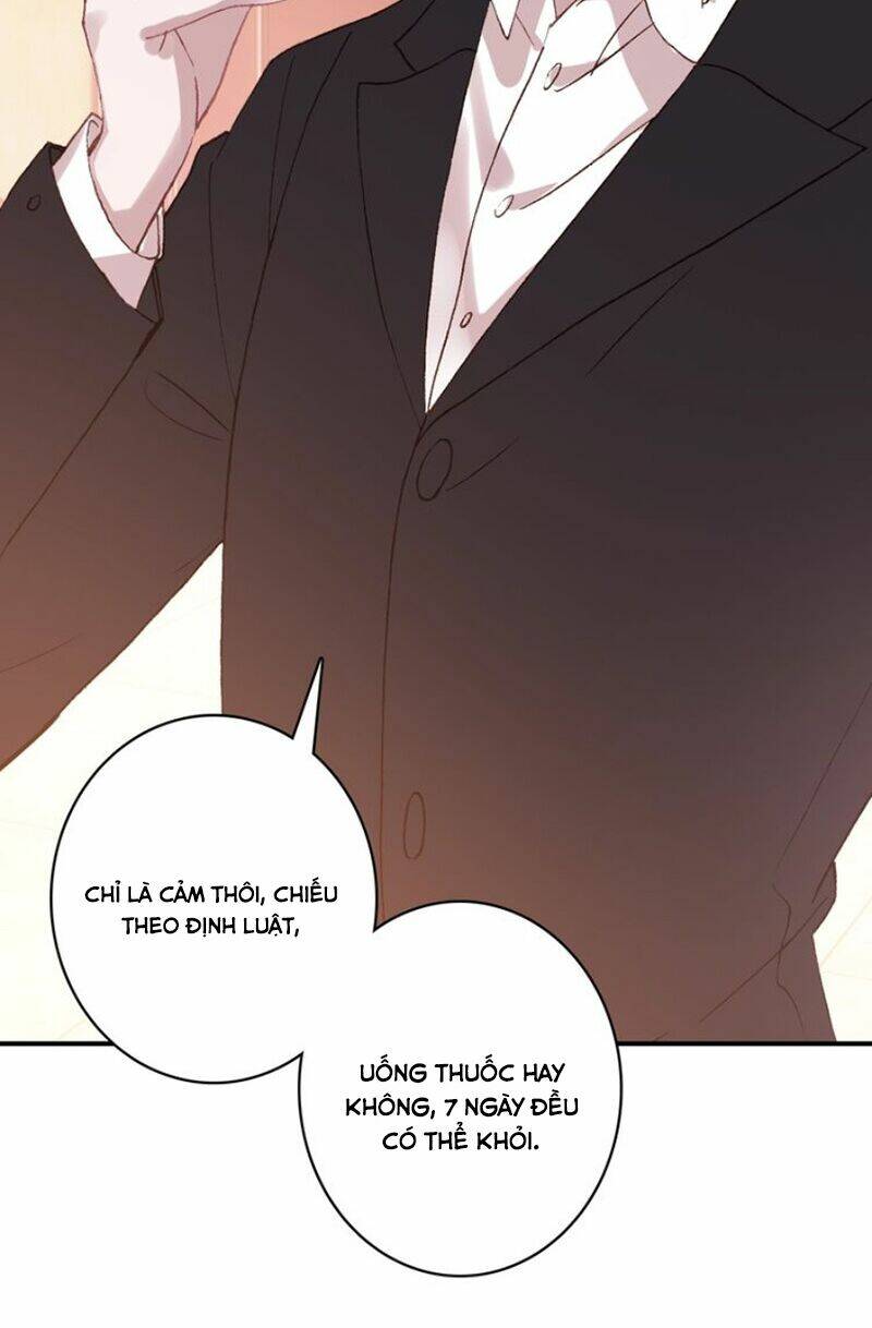 nhất sinh nhất thế mỹ nhân cốt chapter 26 17