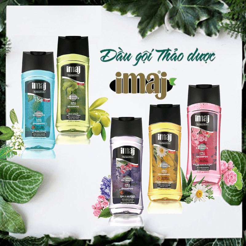 Combo 2 Chai Dầu Gội Thảo Dược 2in1 imaj Hương Olive và Hoa Cúc 600ml - Hàng Chính Hãng