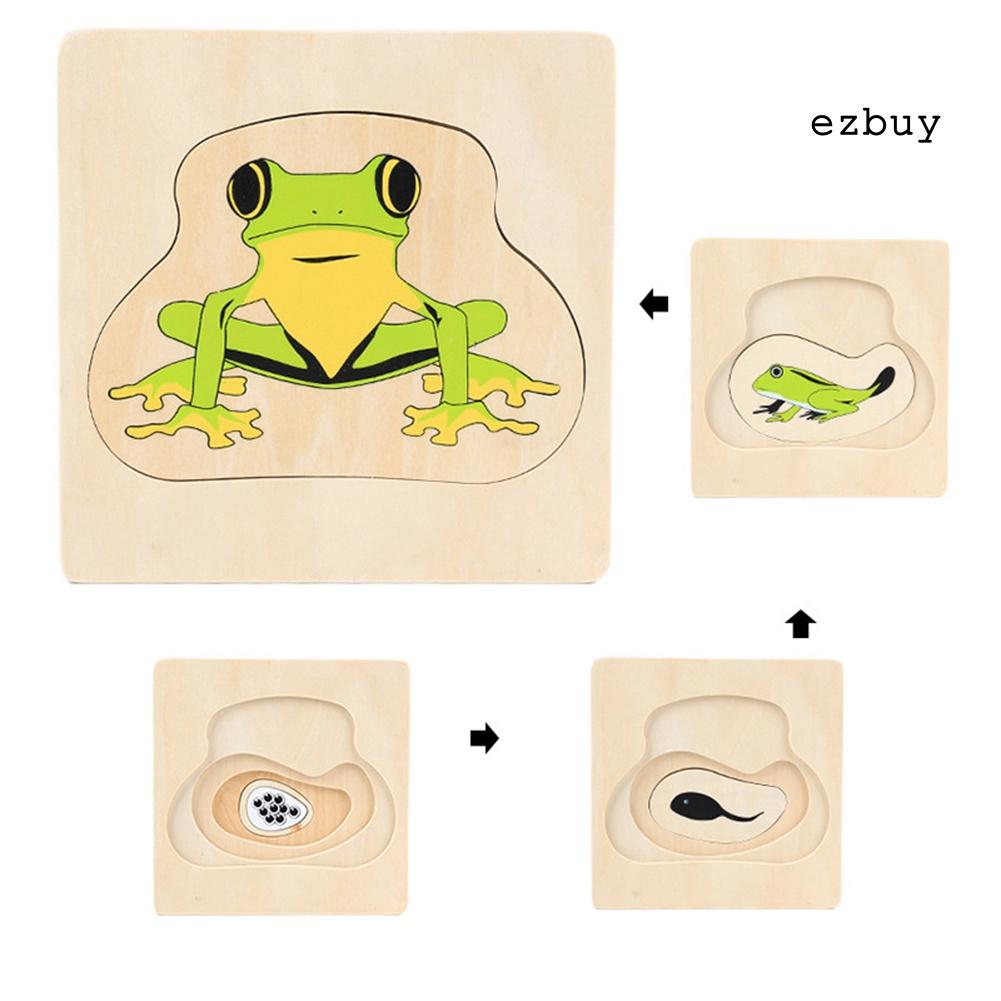 EY-Wooden Cartoon Man Woman Frog Sunflower Growth Process Puzzle Education Kids Toy