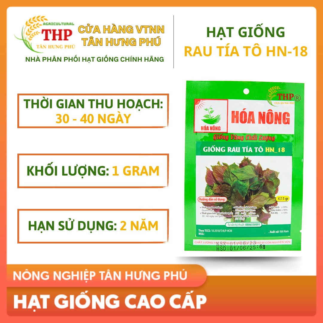 Hạt giống Rau Tía Tô HN-18 | Hạt Giống | gói 1 gr