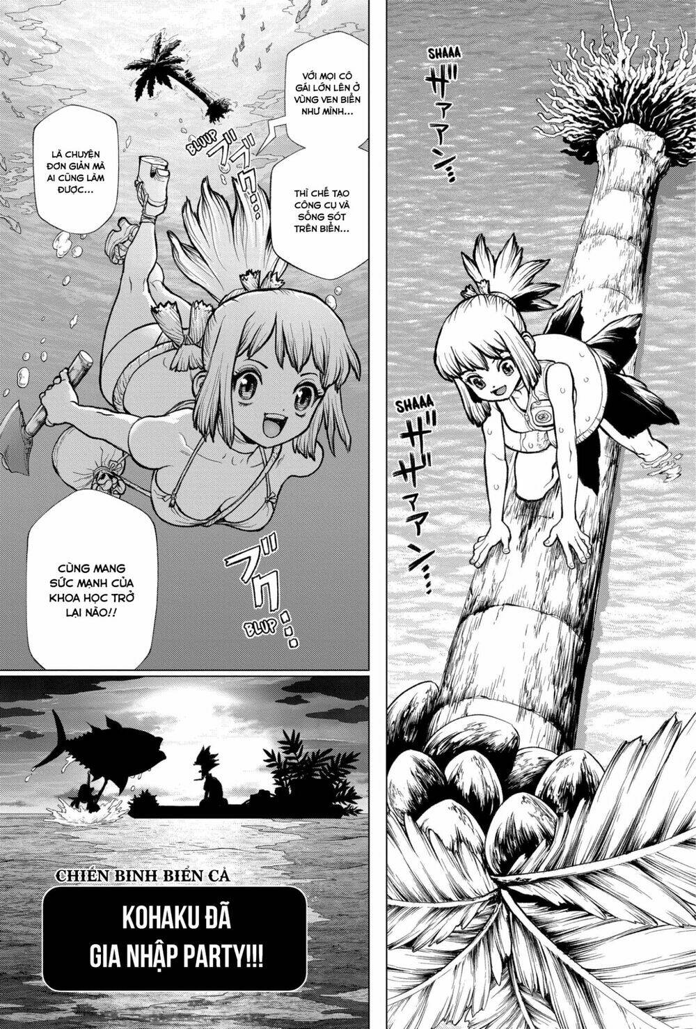 dr.stone - hồi sinh thế giới chapter 232.6 23