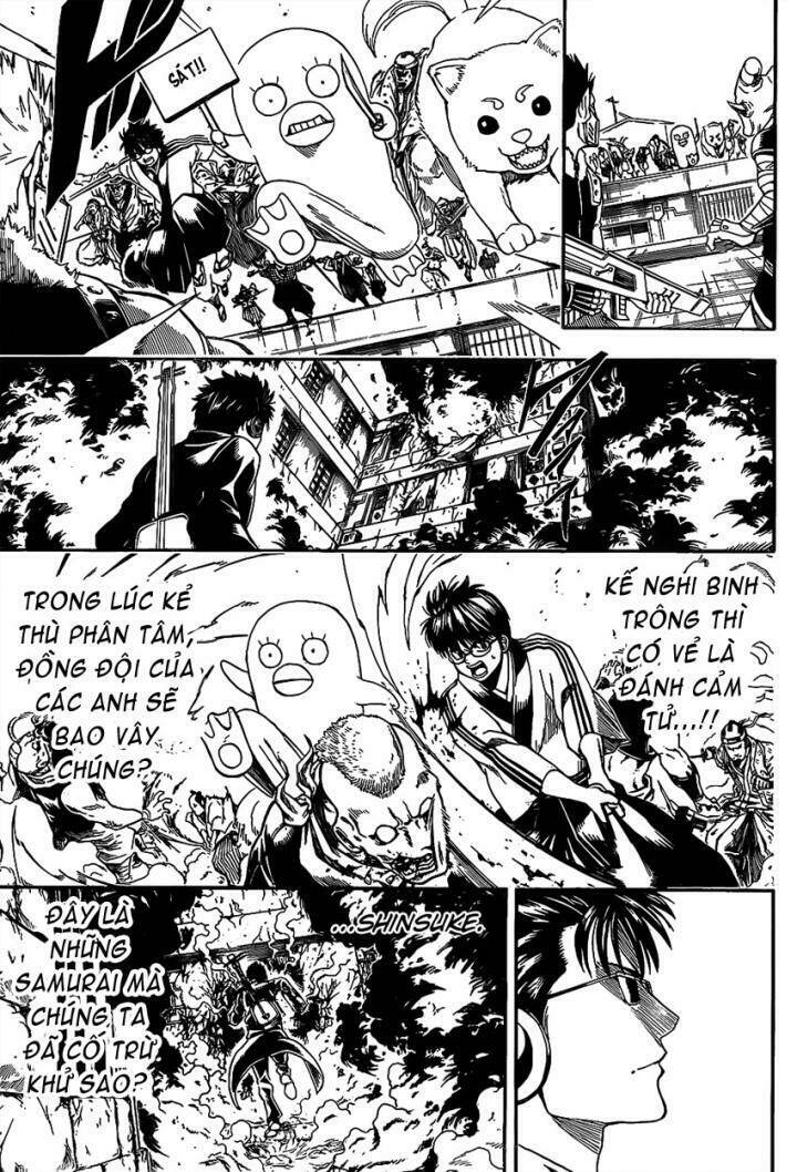 gintama - linh hồn bạc chapter 560 15