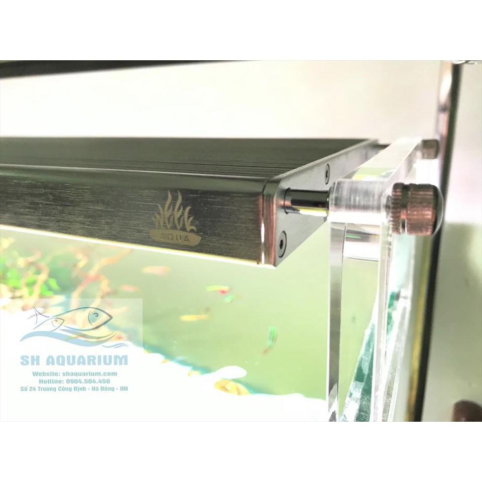 Đèn Week WRGB Phoenix P900