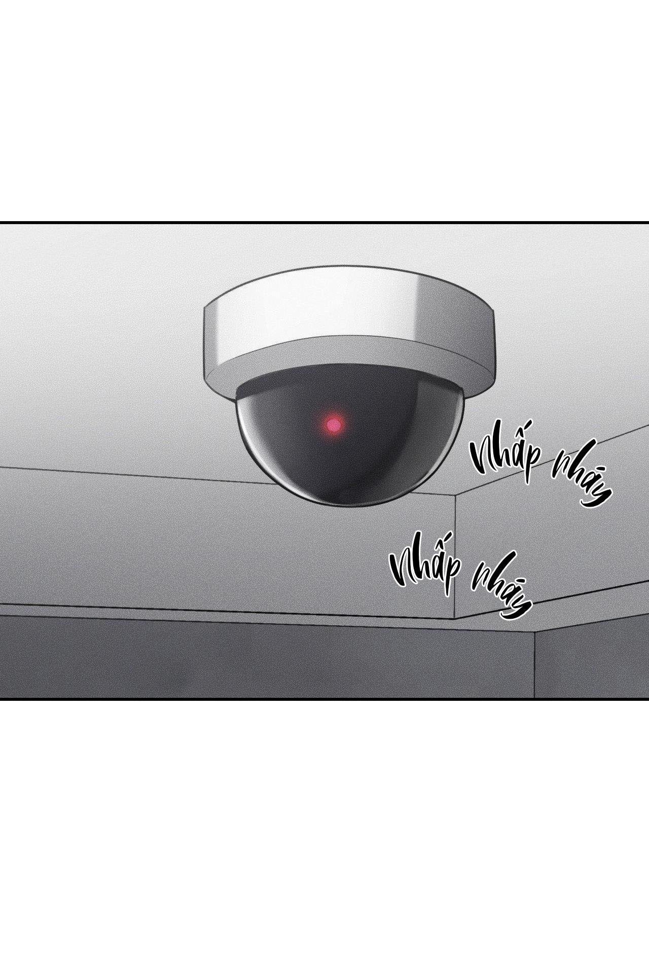 gấu teddy thân yêu chapter 32 31