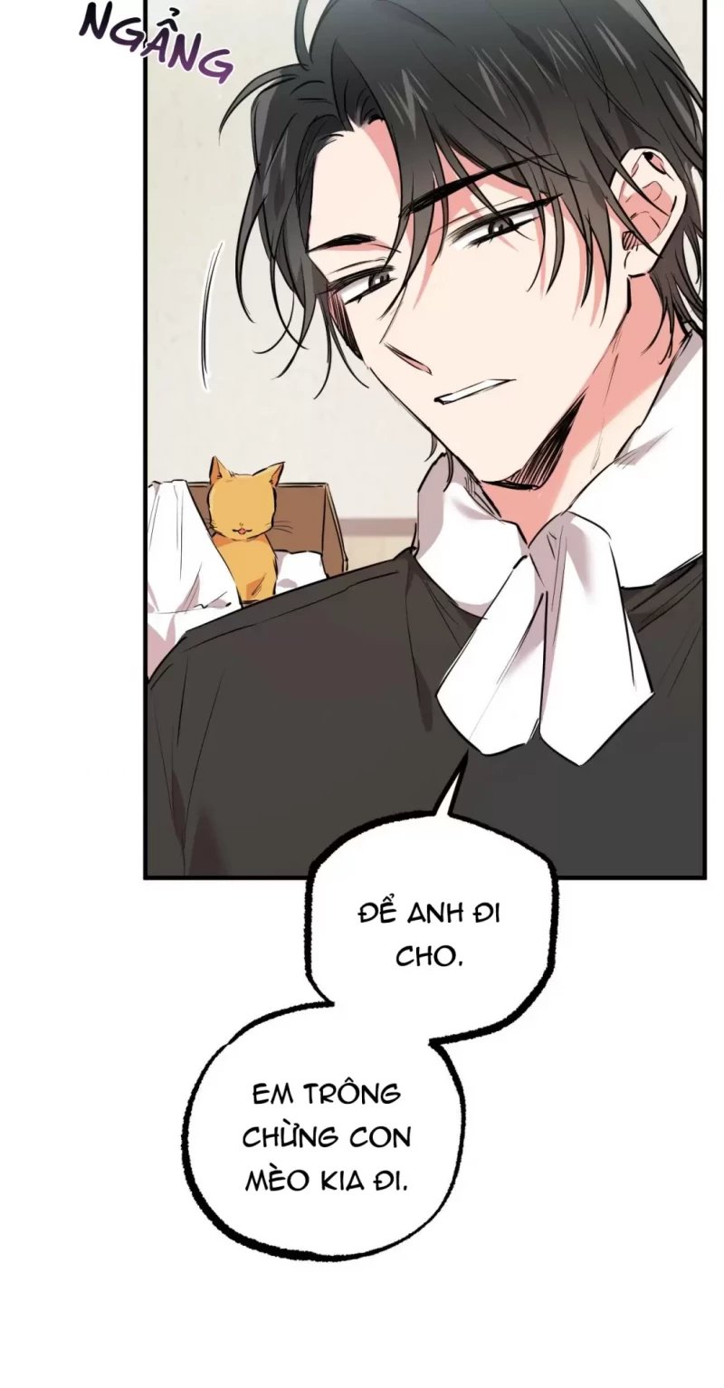 những chú thỏ của hapypy chapter 31.5 16