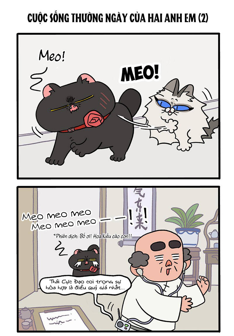 a mãn và mạch trà chapter 32 3