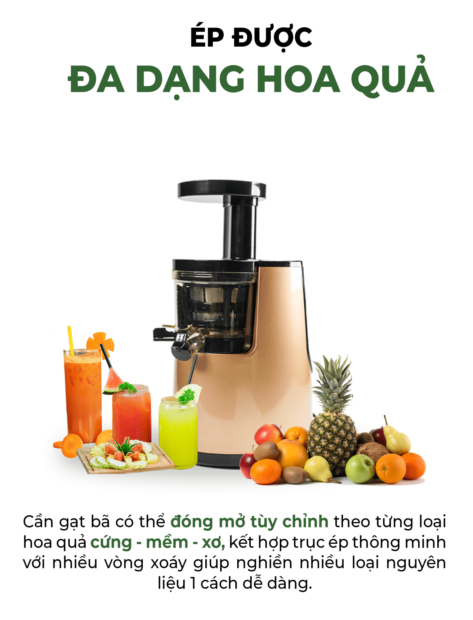 Máy ép chậm Promix SJ-06 Hàng chính hãng