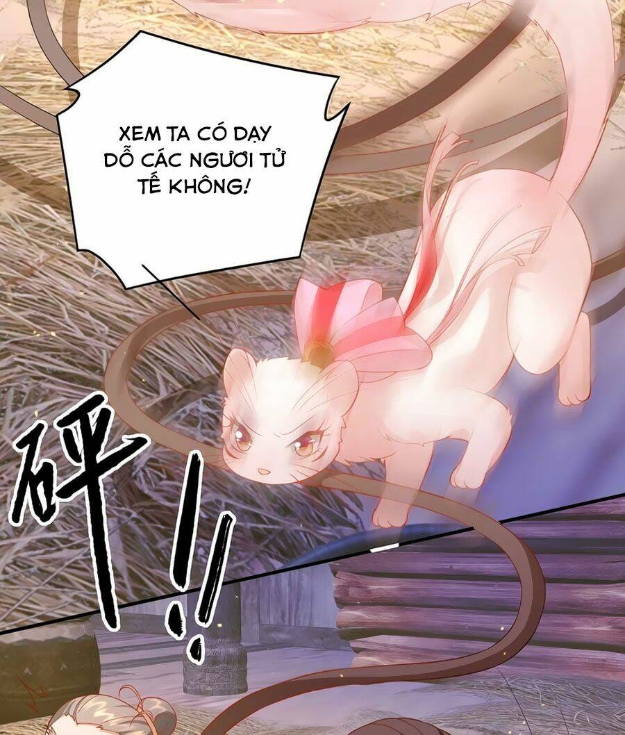 dưỡng thú vi phi chapter 12 12