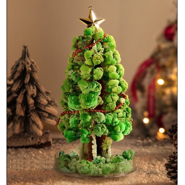 Cây thông Noel Mini để bàn phủ tuyết tự nở thần kỳ - Mideer Magic Christmas Tree - Quà Giáng sinh 2022 cho bé