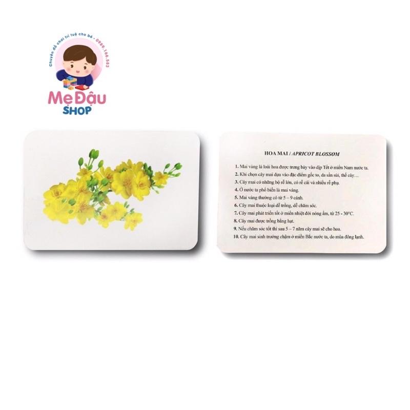 THẾ GIỚI XUNG QUANH (Bộ 100 Thẻ) – Flashcard