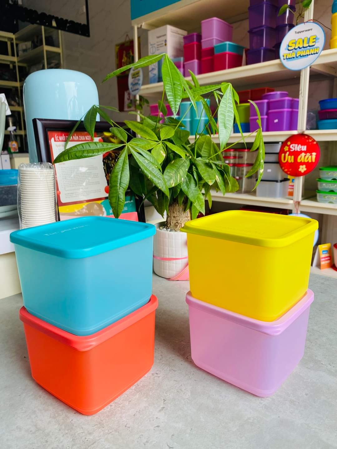 Bộ Hộp Bảo Quản Tupperware Medium Square Round. Hàng chính hãng