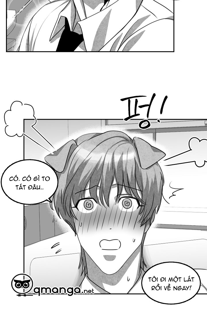 khi cún biết yêu chapter 2 48