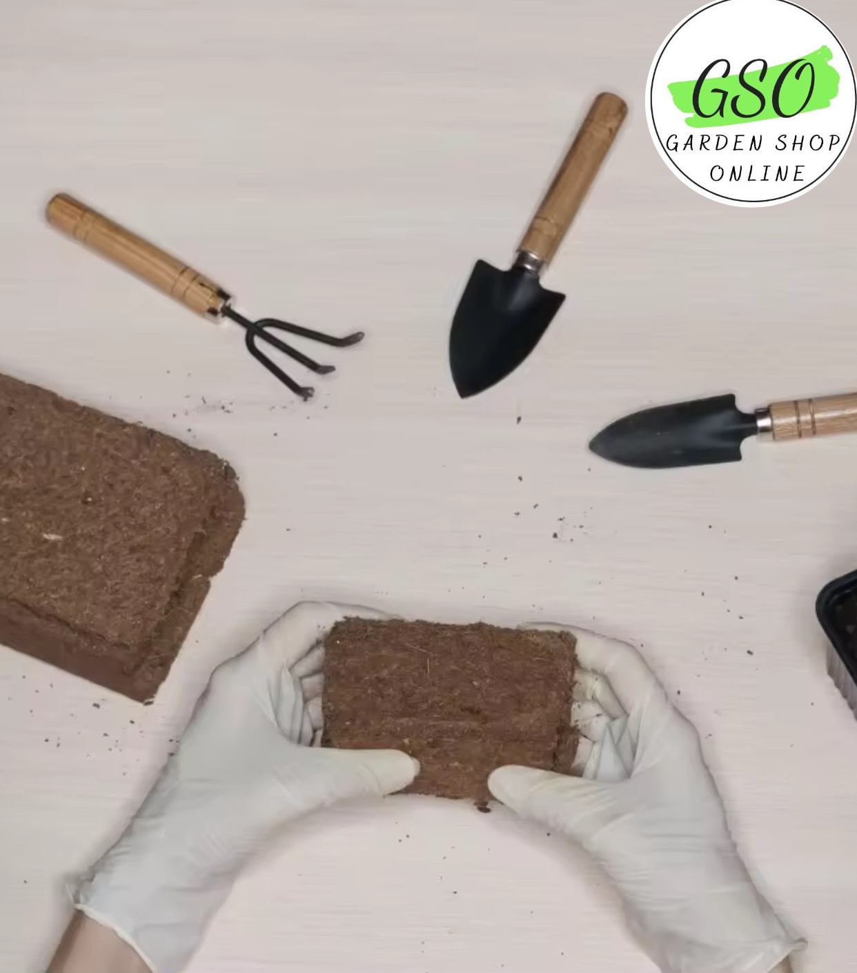 Viên nén xơ dừa trồng cây đã xử lý COCOHI! - FICOCO - Mùn dừa trồng cây viên nén