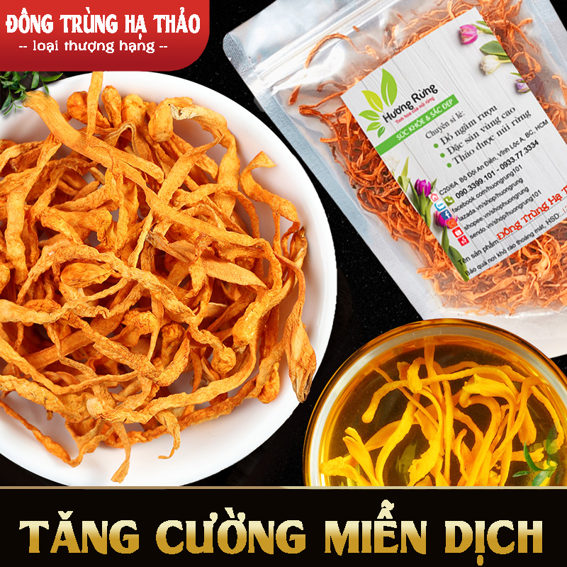 100g ĐÔNG TRÙNG HẠ THẢO sấy khô thượng hạng