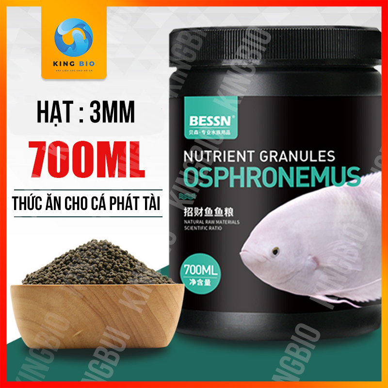 Cám cho cá phát tài - Thức ăn giàu đạm và tảo xoắn cho cá phát tài
